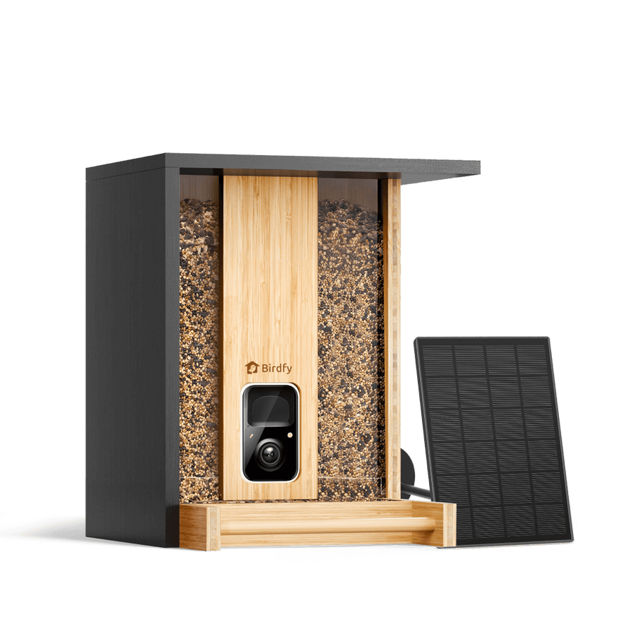 Birdfy DIY birdfy-diy