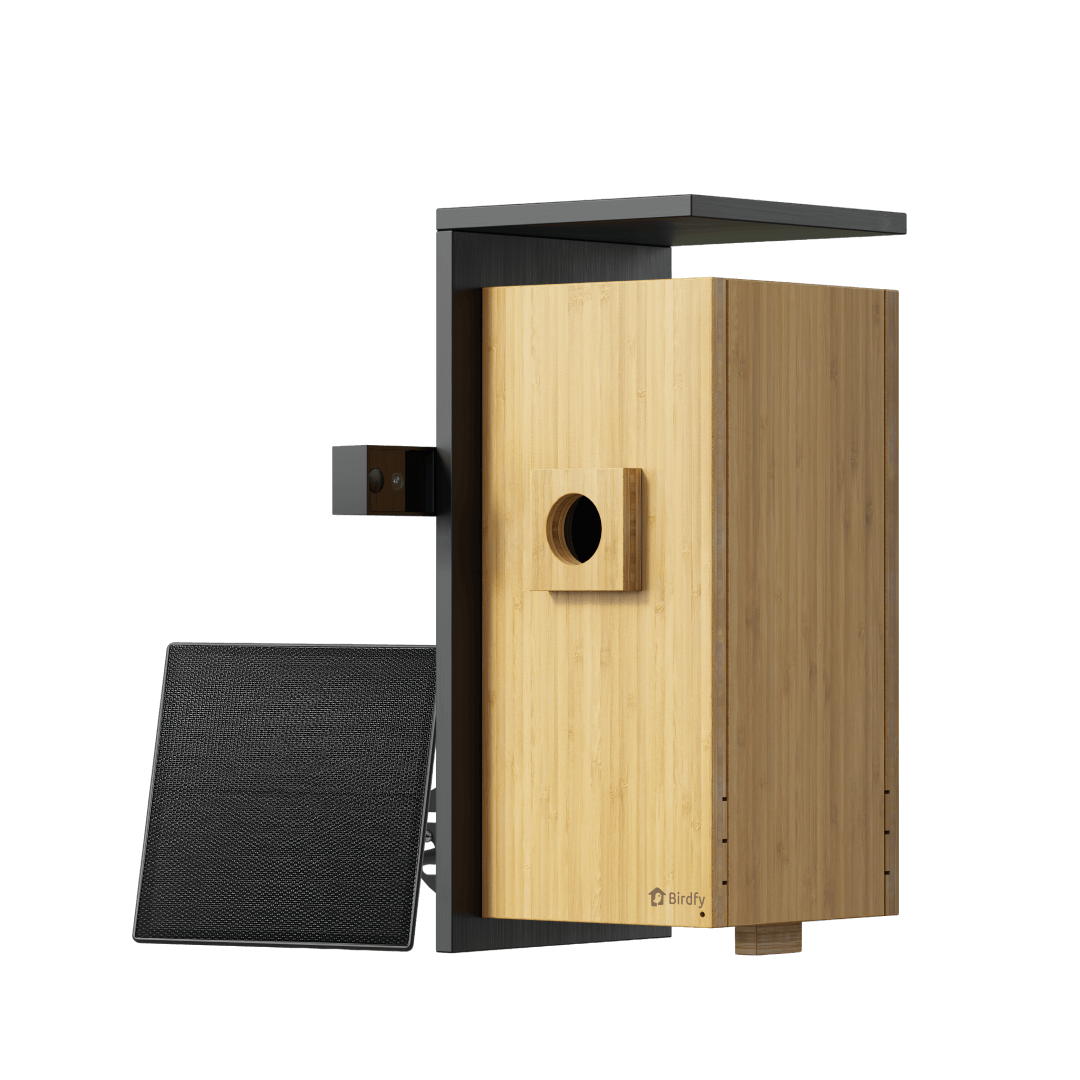 Birdfy Nest Duo - Smart Bird House with Dual Cameras