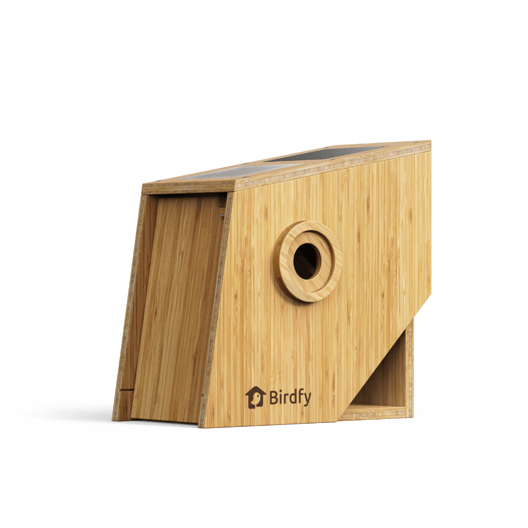 Birdfy Nest Polygon Brown Smart Birdhouse With Camera