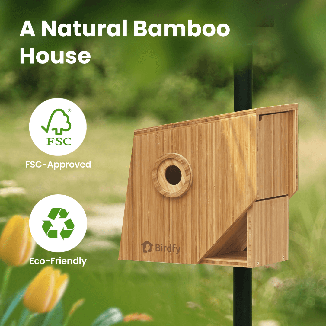 Birdfy Nest Polygon - Smart Birdhouse with Camera, Brown