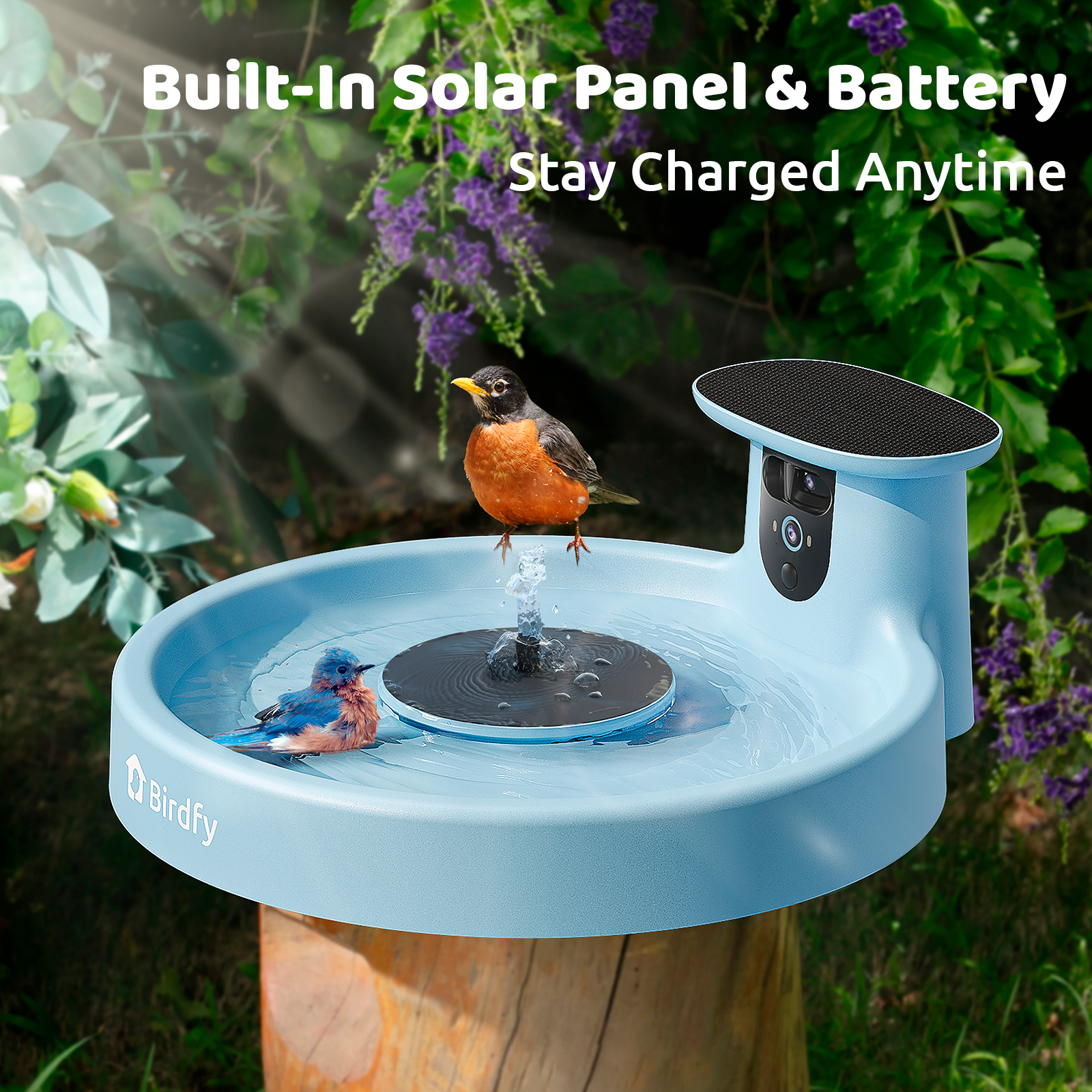 How to Charge Birdfy 