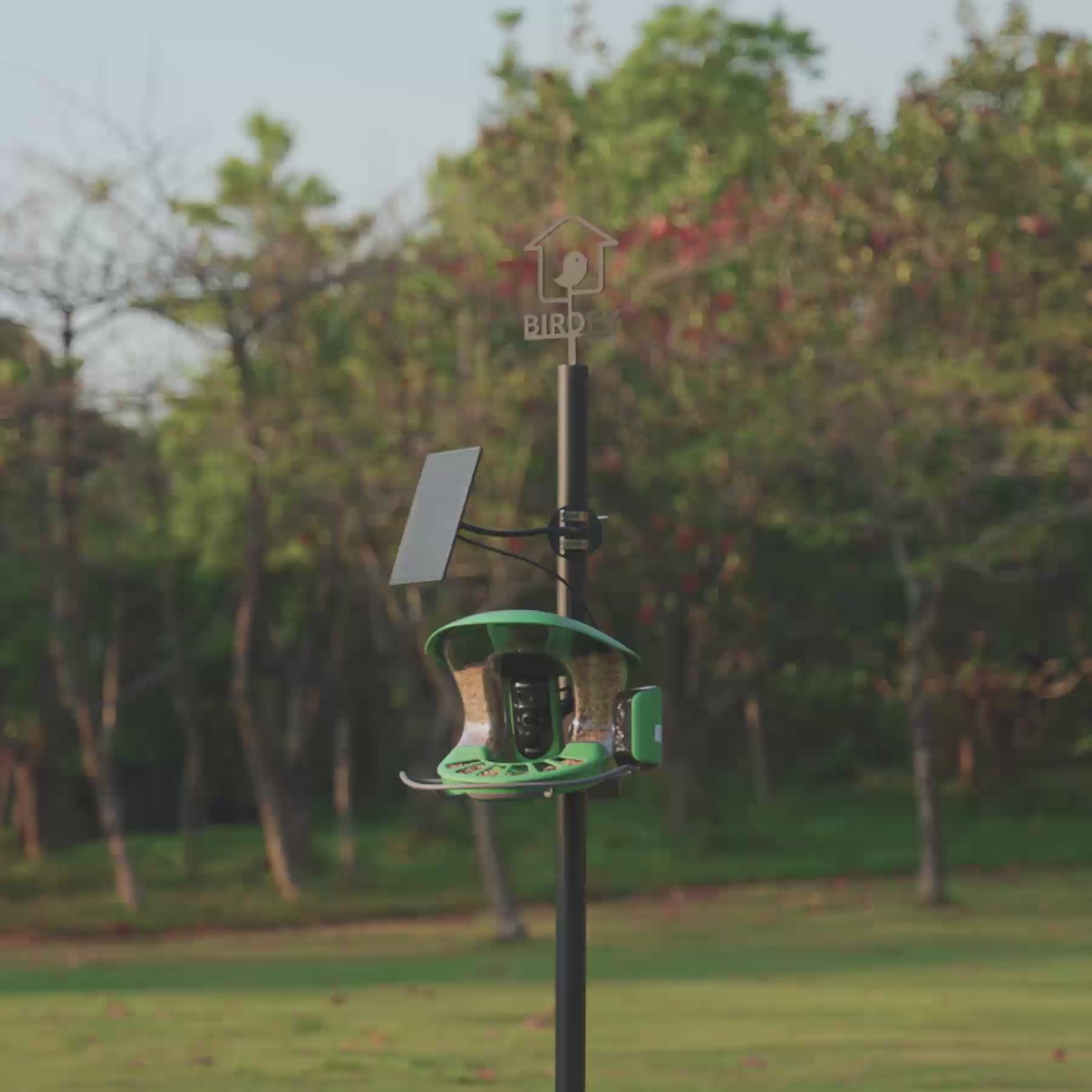 Birdfy Solar Panel (Type C) - Bird Feeder Camera Solar Panel