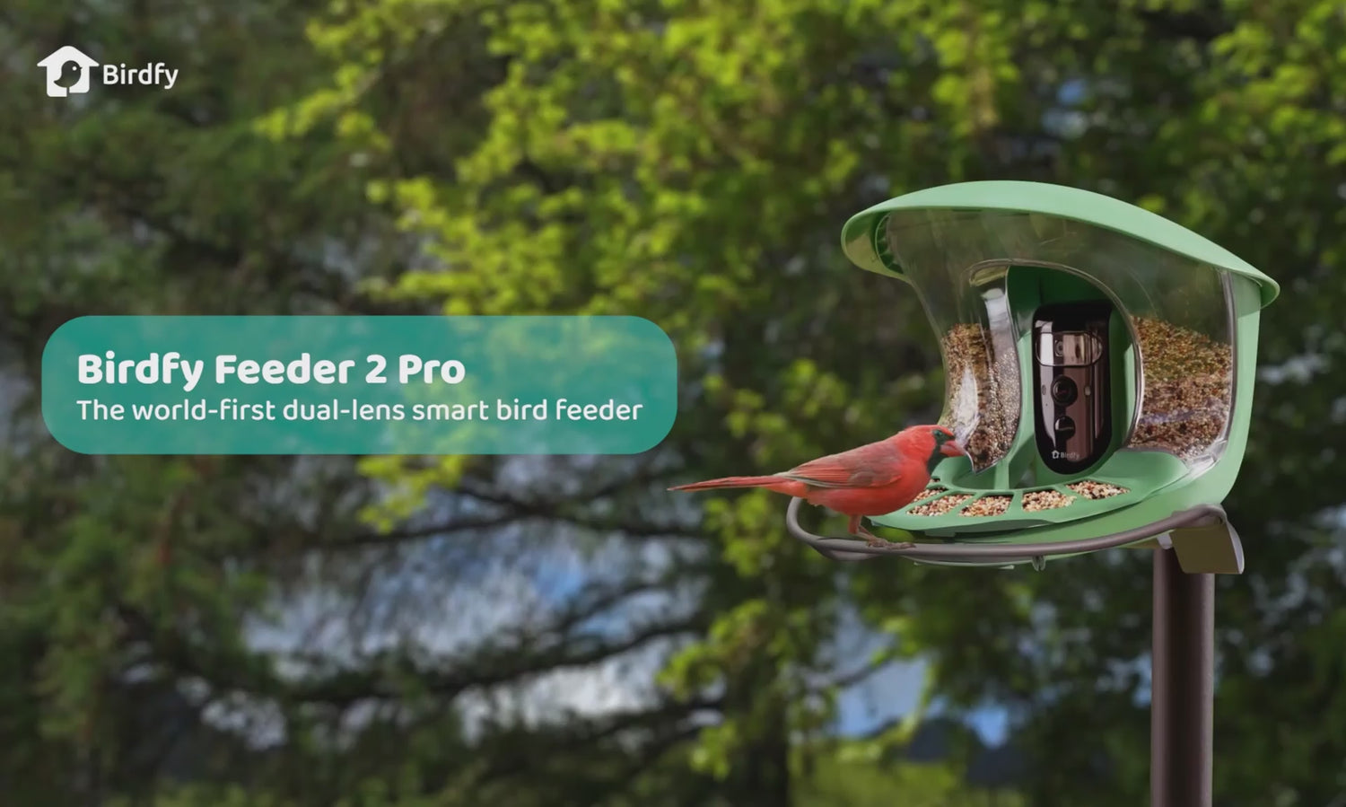 Birdfy Feeder 2 Pro - Bird Feeder Camera