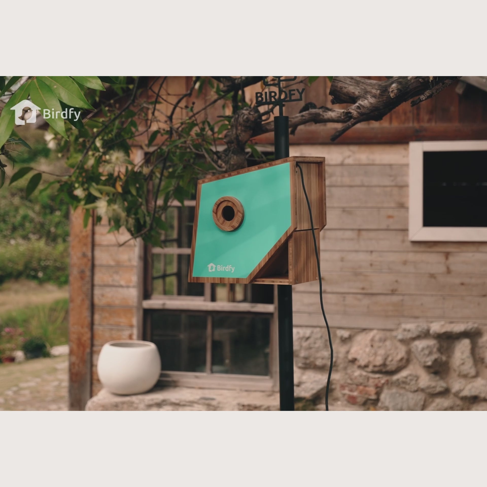 Birdfy Nest Polygon - Smart Birdhouse with Camera