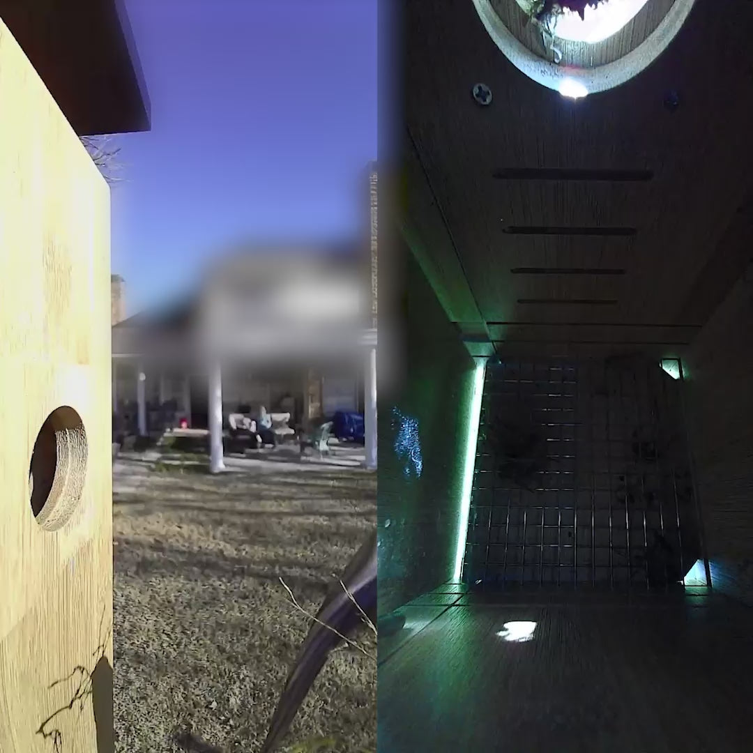 Birdfy Nest - Smart Bird House with Dual Cameras