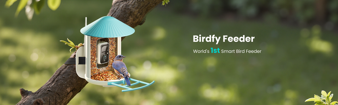 Ai识别-pc.mp4__PID:11a118e4-b6ea-4e42-9ef9-249853040b99