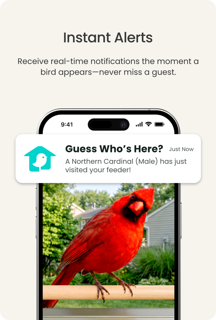 Instant Alerts - receive real-time Birdfy notifications
