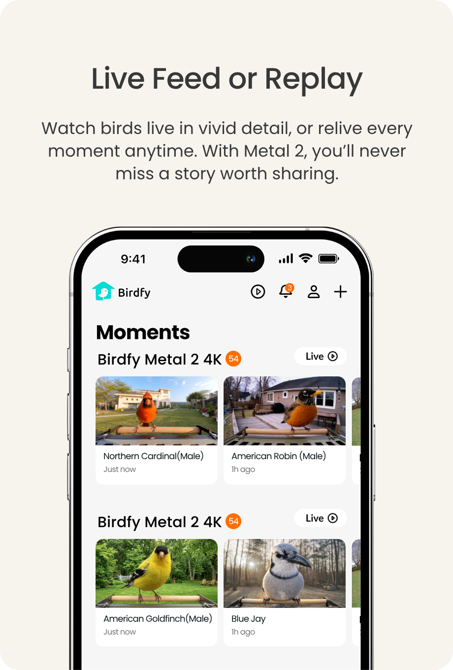Live Feed or Replay - watch Birdfy moments live or replay them