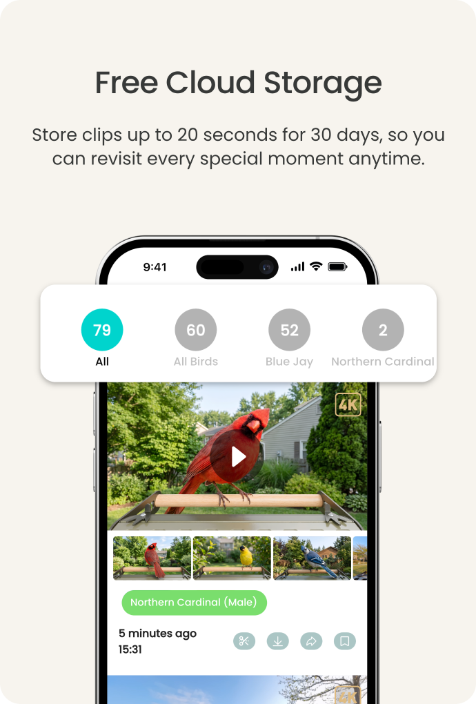 Free Cloud Storage - revisit stored Birdfy clips