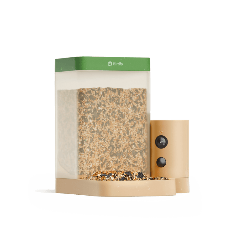 Birdfy Feeder Rookie - Beginner-Friendly Smart Bird Feeder Green