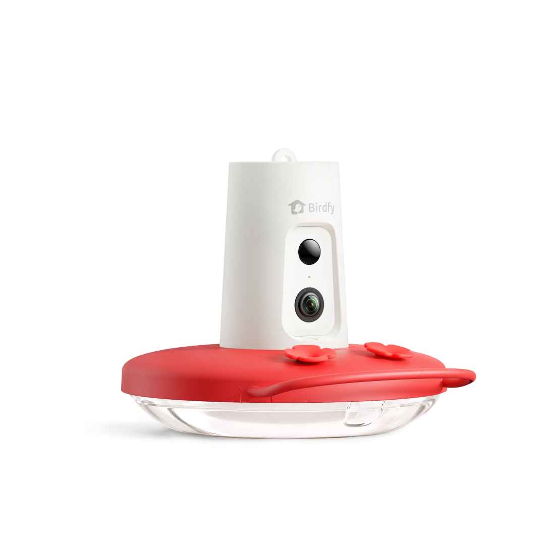 Birdfy Hum Feeder Ruby - Hummingbird Feeder with Camera