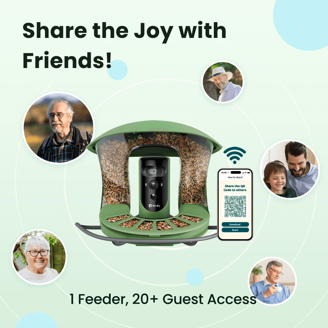 Birdfy feeder2 pro