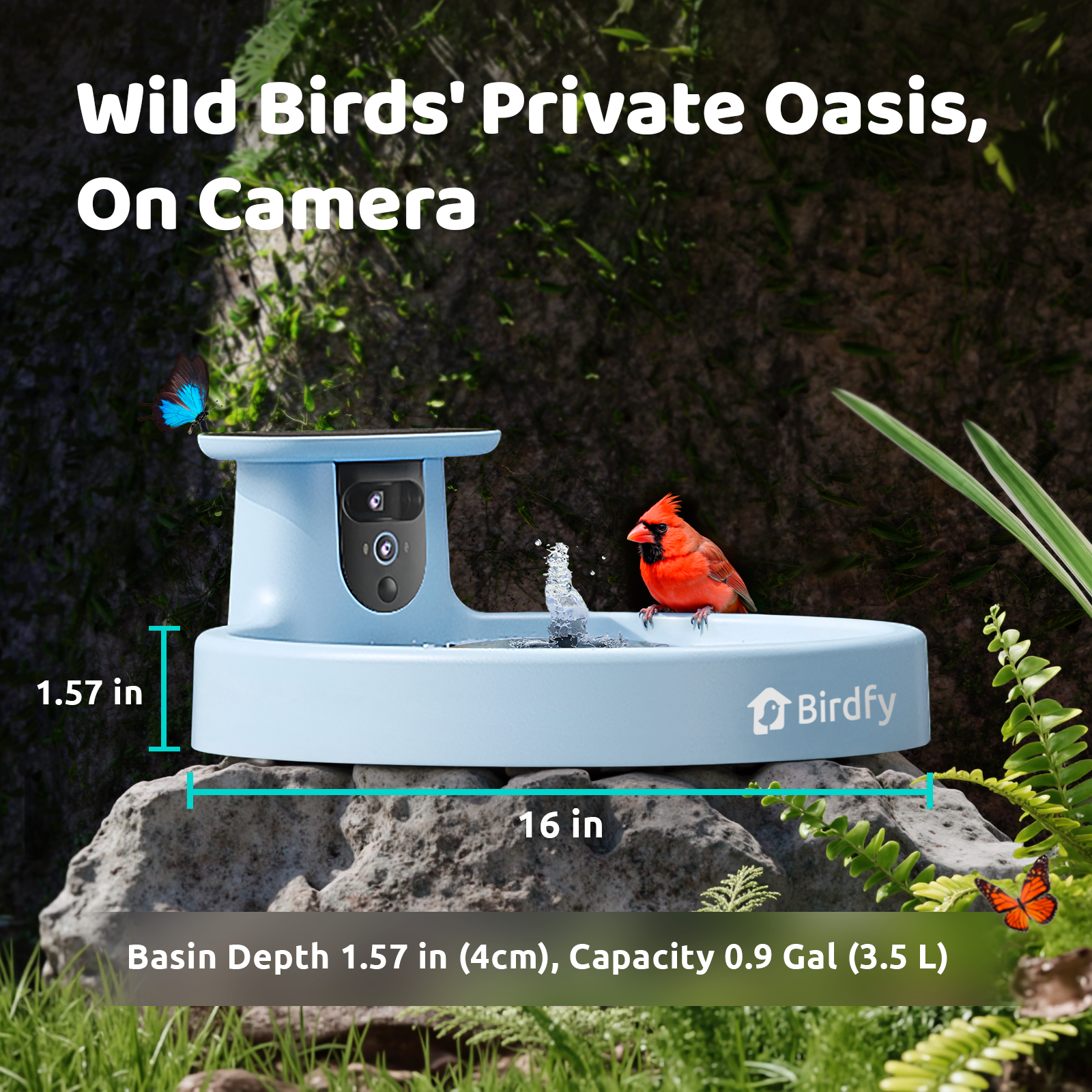 Birdfy Bath Pro - Solar-Powered Smart Birdbath with Fountain
