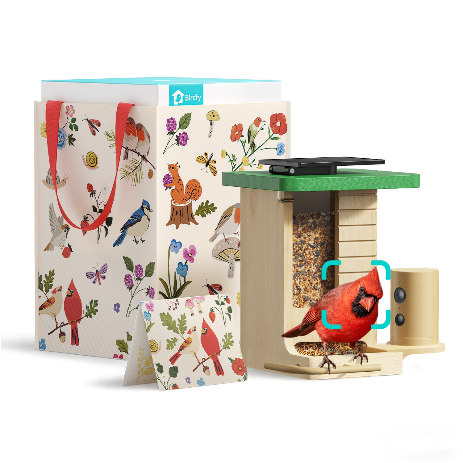 Birdfy Feeder Wood - Limited Mother's Day Gift Set